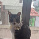 대구동원초등학교 이미지