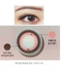 디어여수 이미지