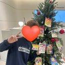 다해씨앤씨 이미지