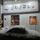 천곡중학교 | 광주 참치 맛집, 눈 오는 날 더 기억에 남았던 첨단 참치연구소 후기