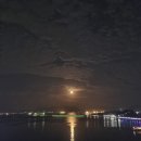 해피컨넬 | [여수 여행] 뜻밖에 여행, 조카와 함께한 여수 / 반려견 동반 유탑 마리나 호텔 수영장까지