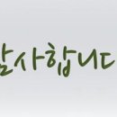 평화상조 이미지