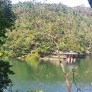 울산 박상진호수공원과 태화강 생태공원 이미지