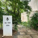 SEA서비스 | 보홀 아모리타 리조트 ‘씨 트리 스파 SEA TREE SPA’ 내돈내산 마사지 후기