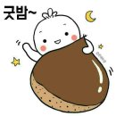 월곡역 Daum카페