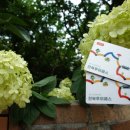 루이엘모자박물관 이미지