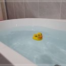 한양고운세신샵 이미지