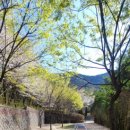 수성생활체육공원 이미지