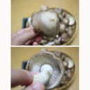 문용농장 이미지