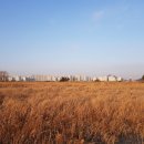 포구의 오후 이미지