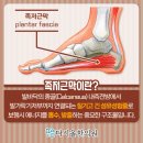 다시올한의원 네이버블로그