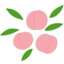 래쉬닥터