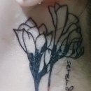 클린타투의원 이미지