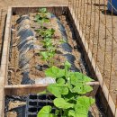 소마일농장 이미지