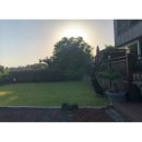 송이마당1198 이미지