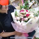 항가울로 이미지