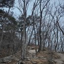 [울산울주] 가지산 운문산 : 가지운문 연계산행 최단코스 영남알프스 100대 명산