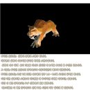 펫클래식 이미지