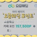 허니문명가 | [W01-2. 플래너] 요즘웨딩 포인트 쌓는 법&꿀팁 (ft.추천인 : 햄짱/사비페이백 7만원 혜택)