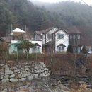 남이섬여행펜션 네이버블로그