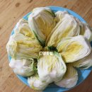 남쪽창고농수산물협동조합 이미지