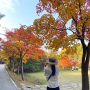 수채화 | 오산 물향기수목원 가을 단풍 여행 추천