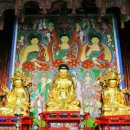 영월 보덕사 목조아미타삼존불좌상 이미지