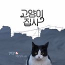 모두의 집사 이미지