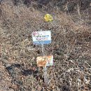 삼태산 문화센터 이미지