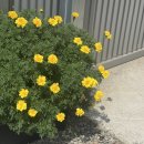 스테이외송 이미지