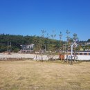 남포항 다목적광장 네이버블로그