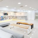 유앤미펫 고양이분양 강아지분양 인천본점 이미지