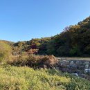 청석골농장 이미지