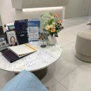 픽셀 | 포텐자 더마샤인 비교로 알아본 트윈픽셀 니들 RF 후기