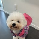 크로바세탁 이미지