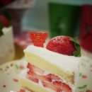 킨더하바유치원어린이집 이미지