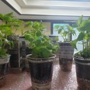 라온기획 이미지