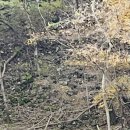 명가닭오리전문 이미지