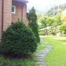 마운틴밸리 이미지