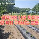 김태유부동산중개사무소 이미지