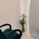 color blend(컬러블렌드)