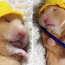 꿈나라유치원 이미지