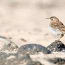 대정에너지 이미지