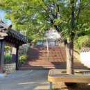 닥밭골 벽화마을 이미지