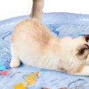 강남시장(6) 이미지