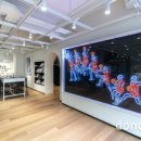 새로운 예술의 질주 이미지