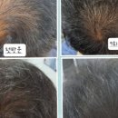 도봉-쌍문-도봉-1355 이미지