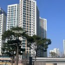 더샵아파트 108동 앞 이미지