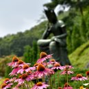 담마파다Dhammapada 法句經愚闇品 5章 어둡고 어리석은 이들의 모습을 깨우쳐 밝음으로 인도하고자 함...