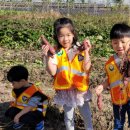 병설농장 이미지